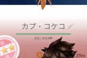 【ポケモンGO】カプコケコ100の使い道