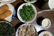 体重120kgのガチニートのお昼ご飯