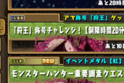 【悲報】ワンピ復帰勢さん「課金したけどやることないしイベントも盛り上がらないし後悔」【パズドラ】