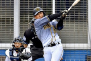 阪神・陽川が４安打、北條は２打数２安打　定位置争いアピール