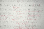 外国人「日本語の先生が本気で自分の作文を添削してくれた！」