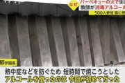 バーベキュー焼死事件、アルコールをかけた理由が意味不明
