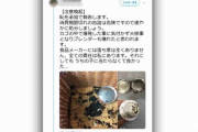【画像】缶が“爆発”あなたは大丈夫？ → 間違った温め方でマジで危険に・・・