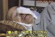 【79枚】不謹慎だが笑ってしまう画像