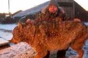 ロシア人農家「オオカミが襲撃してきたから素手で絞め殺した」