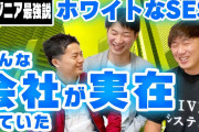 30歳IT未経験SES1年目ワイ、吐きそう