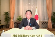 日本政府､水際対策緩和へ 入国前の現地コロナ検査免除や入国者数上限緩和など