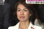 【朗報】豊田真由子、カワイクナル【比較画像】