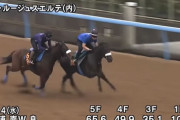 【2歳新馬】衝撃ラスト1F10秒7のルージュスエルテ出陣！結果は…