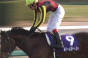 【競馬】ドリームジャーニーって凄かったんだな