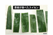 【富山】「スイセン」食べて食中毒…30代から80代までの男女5人「ニラ」と間違え調理　臭いと葉の違いに注意！
