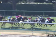 【競馬・クイーンC】藤田菜七子がレッジャードロで芝重賞初勝利になるわけだが