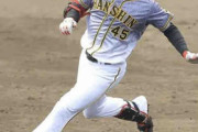 阪神・遠藤、勝負強い１２打点