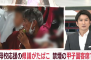 【悲報】甲子園スタンドで喫煙の議員、飲酒もしていたｗｗｗｗｗｗｗｗｗｗｗ