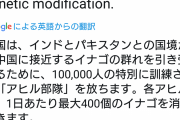 【速報】中国さん、迫り来るイナゴ4億匹に対し『特別訓練されたある動物』を駆使して一大決戦へｗｗｗｗｗｗ