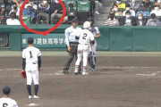 【超画像】甲子園のバックネット裏に落合wwwwww
