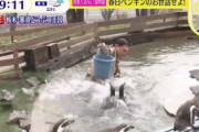 オードリー春日さんがペンギン池に落下した問題について、那須どうぶつ王国が本人らからの謝罪があったことを報告 「当園はSNS等で個人への誹謗中傷は望んでいない」