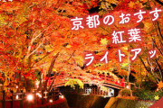 【絶景スポット】穴場から定番まで！秋の紅葉名所ガイド