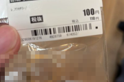 X民「中古ショップ行ったら明らかにヤバい価値の物が100円で売ってた」ﾊﾟｼｬｯ→マジでとんでもない掘り出し物で驚愕