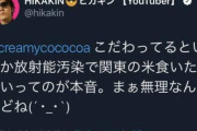 【悲報】ヒカキン「3.11検索は寄付になります！皆さんも是非！」⇒ 2011年のヒカキンのヤバイツイートのせいで炎上ｗｗｗｗ
