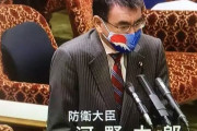 ◆悲報◆河野大臣が国会で着けた「富士＆太陽マスク」であの方々がファビョーンしてしまうｗｗｗ