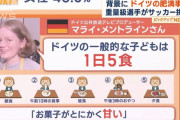 ドイツの肥満率58.6%→ドイツ人「なんでや…ワイら普通にご飯食べてるだけやん」