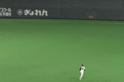 日ハムの守備ｗｗｗｗｗｗｗｗｗｗｗｗｗ