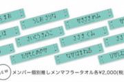 【日向坂46】『けやき坂46』時代のタオルでライブ参戦するおひさま