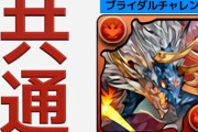 【ブライダルチャレンジ】シヴァドラ共通簡易PTで魔法石11個など回収！これ1本でLv10〜Lv1まで全部クリアできます【パズドラ】