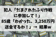 【悲報】「だまされたふり作戦」に協力した８５歳のおばあちゃん、3,250万円だまし取られる