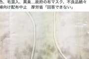 【悲報】アベノマスク、カビだらけで届く