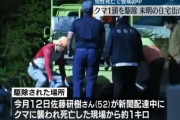 【北海道】人を襲っていた殺人グマでかすぎ