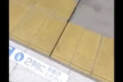 【動画】東急青葉台駅で飛び込み配信か。ホームドアを越えて線路に飛び込む様子が生放送される。
