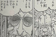 【悲報】ワンピースの黄猿、ガチで名言を吐いてしまう【ワンピース】