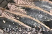 海外「日本食の魂と心」かつお節ができるまでの工程を撮影した動画に反響（海外の反応）