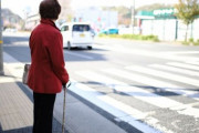 「横断歩道わたろうとしてる歩行者がいたら、車は譲らないといけない」ってあるじゃん？