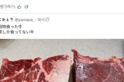 韓国人「霜降り肉と赤身肉を食べ比べた結果がこちらです‥」→「美味しさと栄養のバランスをどう考えるのか？」