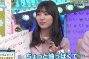 【日向坂46】おひさまが気になっている"チキンチキンごぼう"の全貌はこちらですｗｗｗｗｗｗｗｗｗ