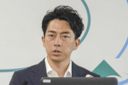 【悲報】小泉進次郎「水と油、混ぜればドレッシングになると言われた。その通りだ」