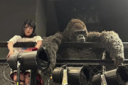 豫風ってなかなか笑いのセンスあるな