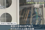 町「小学校に熊が出たの！猟友会さん助けて！」猟友会「ん拒否するゥ」