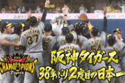 【日本シリーズ第7戦】阪神、38年ぶり日本一！ノイジー先制3ランなどで6点 青柳好投に第3戦先発の伊藤将もつぎ込む盤石の投手リレー