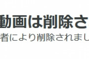 「けものフレンズ2炎上事件」について毎日ニコニコ動画に動画を投稿していた人の動画が一斉に管理者削除される