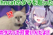【ホロEN】ビブー、飼い猫のタマを取ってもらった話「目覚めてタマが無かったらどうする！？」