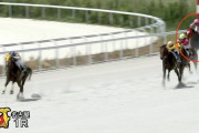 【悲報】名古屋競馬1Rで1.0倍の馬が馬券外に飛ぶｗｗｗｗ