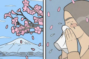 「桜の季節はアレルギーも出るんだよな」外国人が描く即落ち2コマ漫画が話題