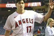 大谷翔平 9勝4敗 2.38 87回 123奪三振←こいつ