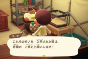 【あつまれどうぶつの森】フータさん早く来てください。こんなことになってます。