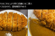 【画像】美少女X民「ココイチの店員に顔覚えられた…もう行けない…」