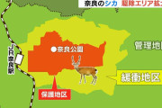 奈良のシカ『保護対象だったエリア』でも駆除方針　シカ増加で収容能力を超えていると指摘あり